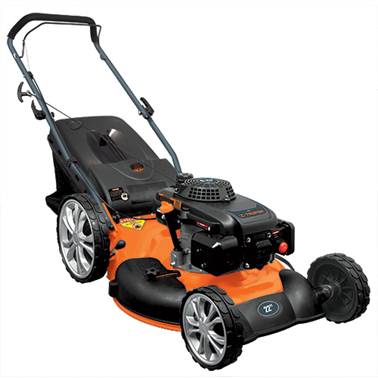 SP-PODADORA CON MOTOR A GASOLINA 6HP DE 2 (19968) TRUPER